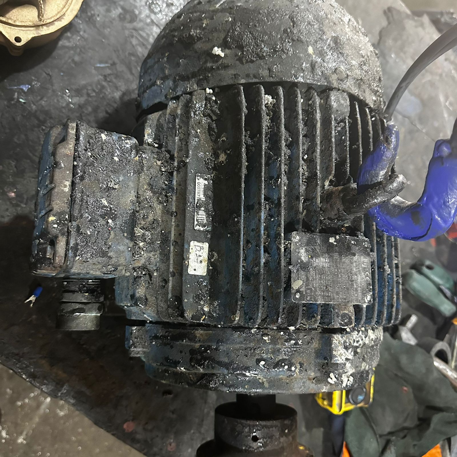 Equipamento Recebido
